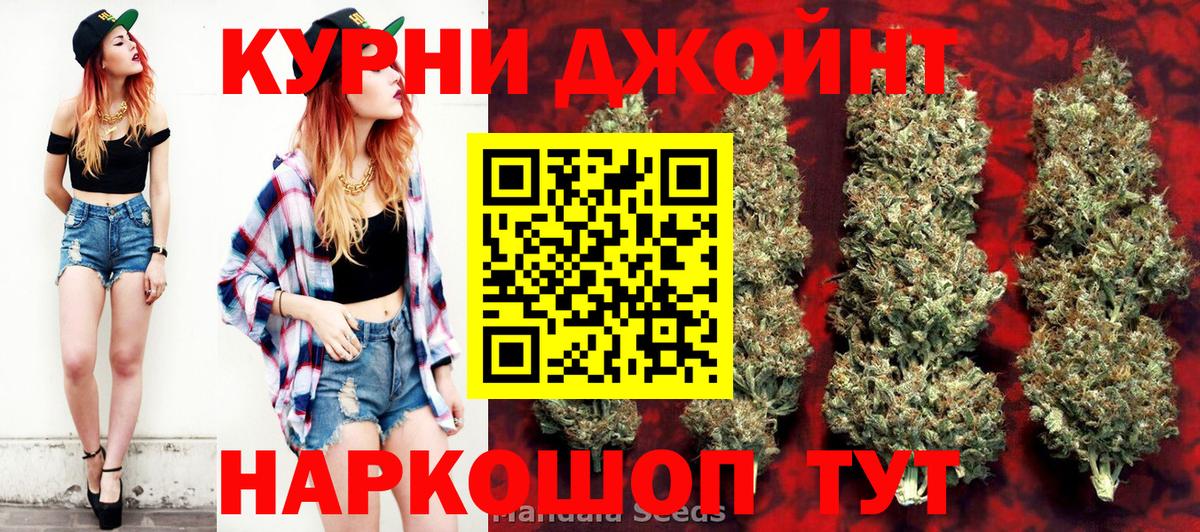 Конопля сатива Выборг